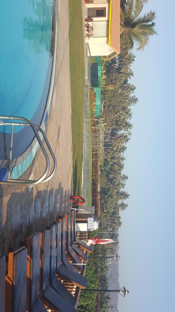 Blue Flamingo 1bhk Private At Nazri *